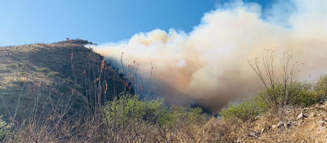 Avanza combate a incendio forestal en Ímuris